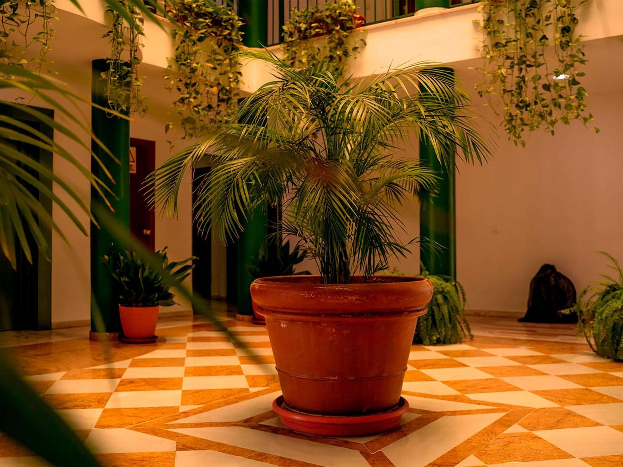 Apartamentos Vertice Bib Rambla Seville Luaran gambar